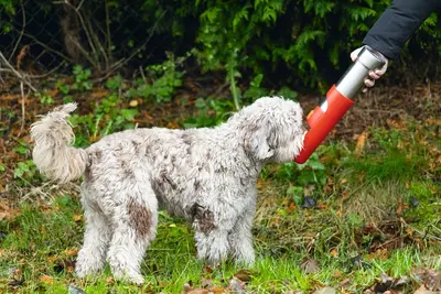 Beeztees drinkfles hond Loe plastic 532ml d7.5h26cm - 3 kleuren - afbeelding 8