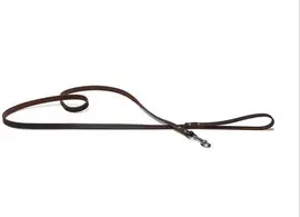 Beeztees hondenriem leer 200x1.6cm zwart kopen?