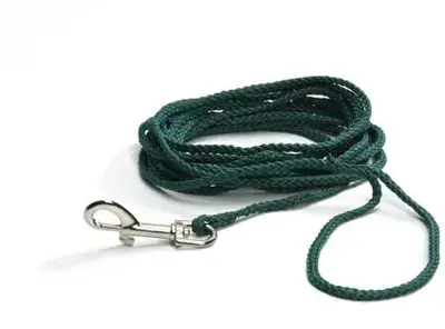 Beeztees hondenriem lijn nylon 10m groen