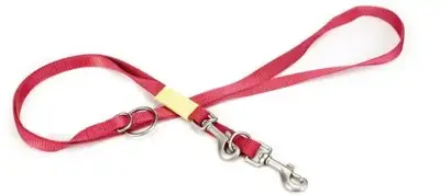 Beeztees hondenriem Uni nylon 200x2cm roze