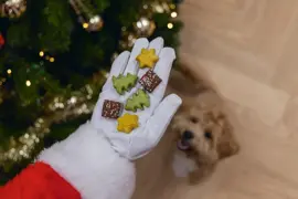 Beeztees hondensnack kerstkoekjes mix 164g - afbeelding 3