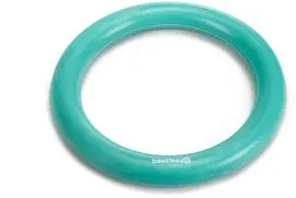 Beeztees hondenspeelgoed massief ring rubber d15h2.3cm mint kopen?