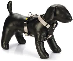 Beeztees hondentuig parinca premium y-tuig nylon M 59-67x2.5cm licht grijs kopen?