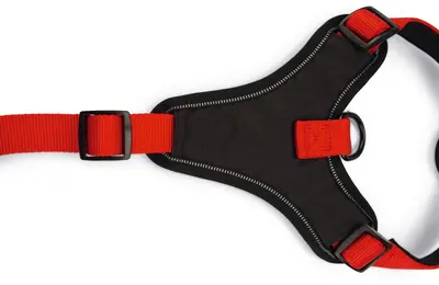 Beeztees Hondentuig Parinca Premium Y-tuig Nylon M/L 67-77 x 2,5 cm – Rood - afbeelding 3