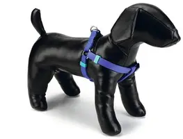 Beeztees hondentuig Uni nylon 46-75x2cm blauw kopen?