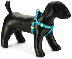 Beeztees hondentuig Uni nylon 46-75x2cm lichtblauw kopen?