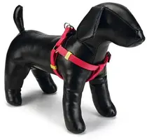 Beeztees hondentuig Uni nylon 46-75x2cm roze kopen?