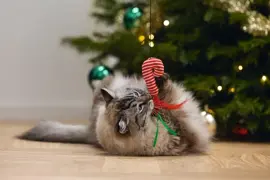 Beeztees kattenhengel Kerst zuurstok pluche 40x3x1cm multi - afbeelding 2