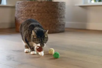 Beeztees kattenspeelgoed Jungle balls ruffles/pluche d4h4cm a3 3 kleuren - afbeelding 3