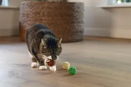 Beeztees kattenspeelgoed Jungle balls ruffles/pluche d4h4cm a3 3 kleuren - afbeelding 3