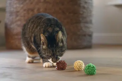 Beeztees kattenspeelgoed Jungle balls ruffles/pluche d4h4cm a3 3 kleuren - afbeelding 6