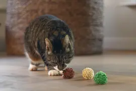 Beeztees kattenspeelgoed Jungle balls ruffles/pluche d4h4cm a3 3 kleuren - afbeelding 6