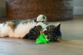 Beeztees kattenspeelgoed Jungle palmboom touw/veren 20x4x3cm bruin/groen - afbeelding 5