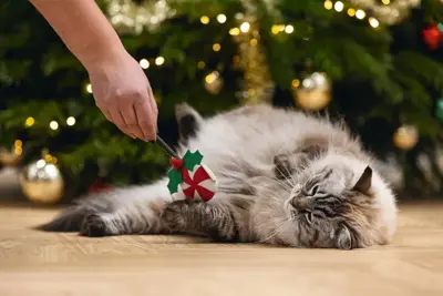 Beeztees kattenspeelgoed Kerst lolly pluche/matatabi 14x8x2 cm multi kleur - afbeelding 2