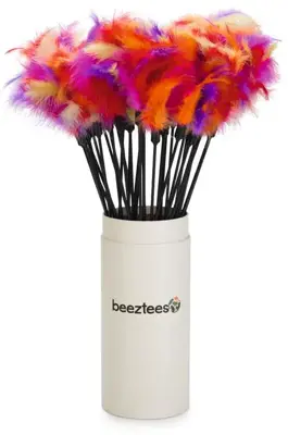 Beeztees kattentcikler gekleurde veren 45cm multikleur - afbeelding 2