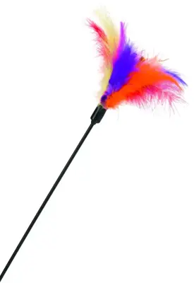 Beeztees kattentcikler gekleurde veren 45cm multikleur - afbeelding 1