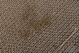 Beeztees Krabsofa karton 49x22x7.5 cm - afbeelding 2