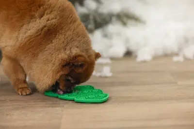 Beeztees likmat voor honden Kerstboom siliconen 23x16x1cm groen - afbeelding 7