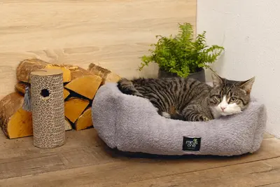 Beeztees Minus One Krabcilinder – Krabspeelgoed – Bruin – 23x10x10 cm - afbeelding 4