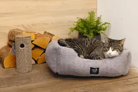 Beeztees Minus One Krabcilinder – Krabspeelgoed – Bruin – 23x10x10 cm - afbeelding 4