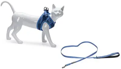 Beeztees Parinca kattentuig met lijn blauw S/M