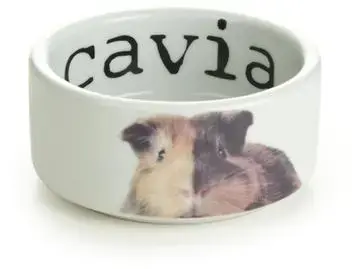 Beeztees snapshot caviavoerbak keramiek 10x10x4cm wit
