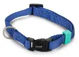 Beeztees Uni - Halsband Hond - Blauw - 20-30 cm x 10 mm
