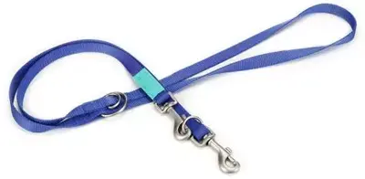 Beeztees Uni - Hondenriem - Blauw - 200 cm x 20 mm