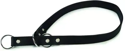 Beeztees Wurghalsband leer 70cm 12mm zwart - afbeelding 1
