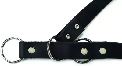 Beeztees Wurghalsband leer 70cm 12mm zwart - afbeelding 2