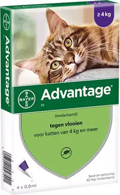 Beschermt katten tegen vlooien