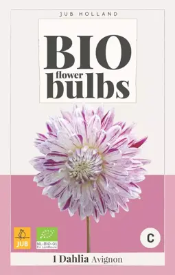 Bio dahlia avignon 1 stuks - afbeelding 1