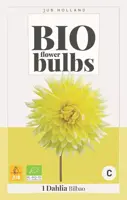 Bio dahlia bilbao 1 stuks - afbeelding 1