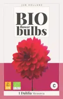 Bio dahlia menorca 1 stuks - afbeelding 1
