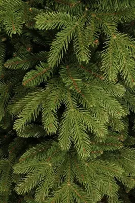 Black Box Trees Brampton kunstkerstboom groen 120cm - afbeelding 2