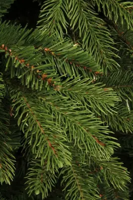 Black Box Trees Brampton kunstkerstboom groen 120cm - afbeelding 3