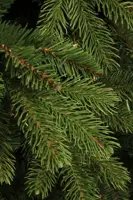 Black Box Trees Brampton kunstkerstboom groen 120cm - afbeelding 3