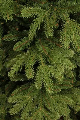 Black Box Trees Brampton kunstkerstboom groen 120cm - afbeelding 2