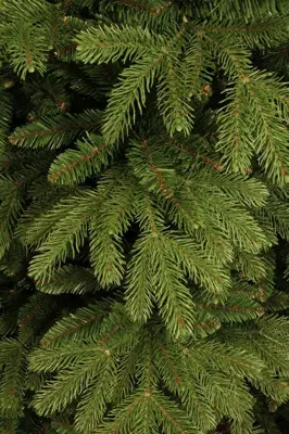 Black Box Trees Brampton slim kunstkerstboom groen 185cm - afbeelding 2