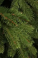Black Box Trees Brampton slim kunstkerstboom groen 215cm - afbeelding 3