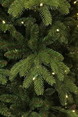 Black Box Trees Brampton slim verlichte kunstkerstboom groen 240cm - 300 lampjes - afbeelding 3
