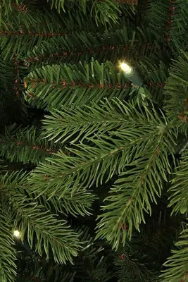 Black Box Trees Brampton slim verlichte kunstkerstboom groen 240cm - 300 lampjes - afbeelding 4