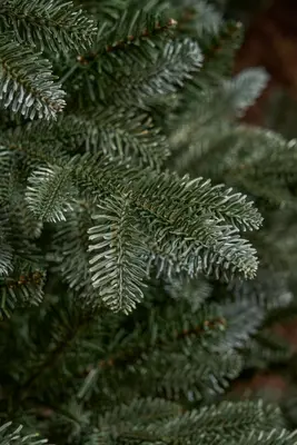 Black Box Trees Burton self shaping kunstkerstboom blauwgroen 215cm - afbeelding 2