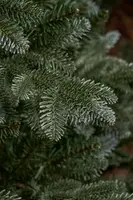 Black Box Trees Burton self shaping kunstkerstboom blauwgroen 215cm - afbeelding 2