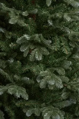 Black Box Trees Burton self shaping kunstkerstboom blauwgroen 215cm - afbeelding 3