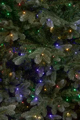 Black Box Trees Burton verlichte self shaping kerstboom blauwgroen 215cm, 500 lampjes - afbeelding 3