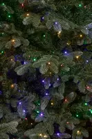 Black Box Trees Burton verlichte self shaping kerstboom blauwgroen 215cm, 500 lampjes - afbeelding 3