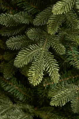 Black Box Trees Burton zelfvormende kunstkerstboom groen 215cm - afbeelding 2