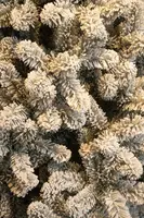 Black Box Trees Charlton kunstkerstboom besneeuwd groen 215cm - afbeelding 3