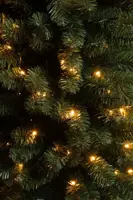 Black Box Trees Charlton Pilar verlichte kunstkerstboom groen 215cm - 160 lampjes - afbeelding 2